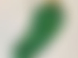 The Christmas Pickle