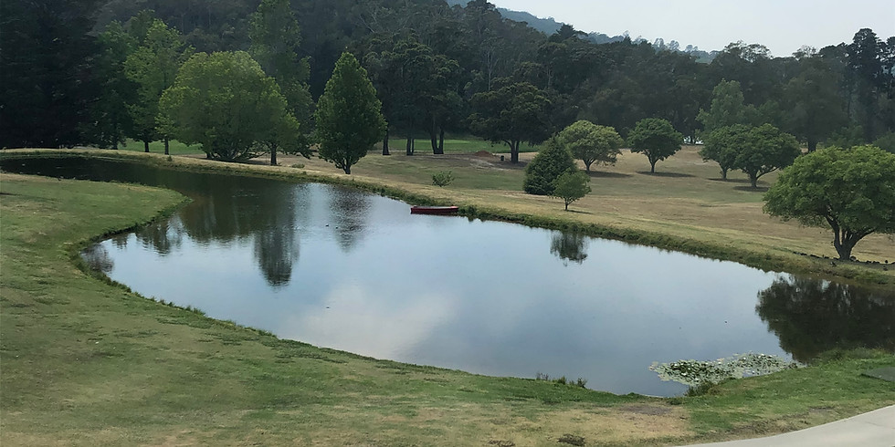 Experiencing Schema Therapy from the Inside Out - retreat run by Lynda Parry