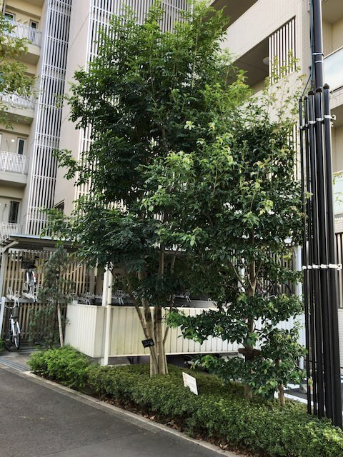 IMG_3218.jpeg