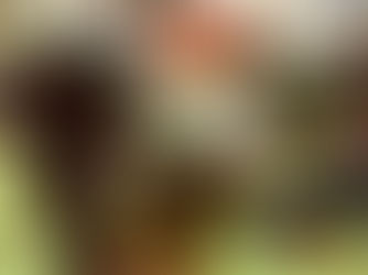 Oregon City - December 2018