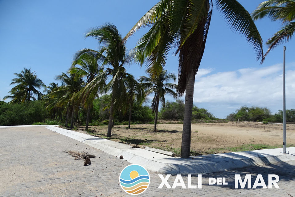 xali del mar - terrenos en venta - barra de navidad - playa de cocos - inmobiliaria - condominio residencial - realtors - real estate - bienes raíces - melaque - el rebalse - isla navidad - colimilla - costalegre - manzanillo - lotes - departamentos - casas - nar - ampi - club de playa - beachfront - investment - inveriones inmobiliarias - lots
