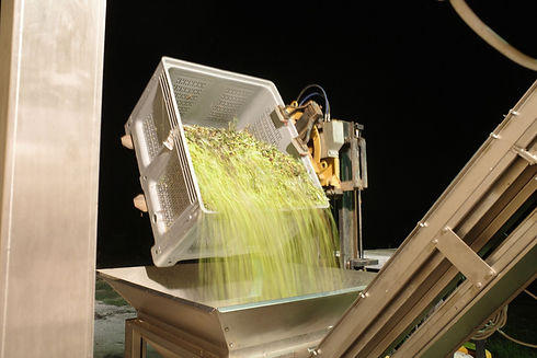 oil press.jpeg