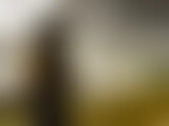 Ghost of yotei devant le mont fuji