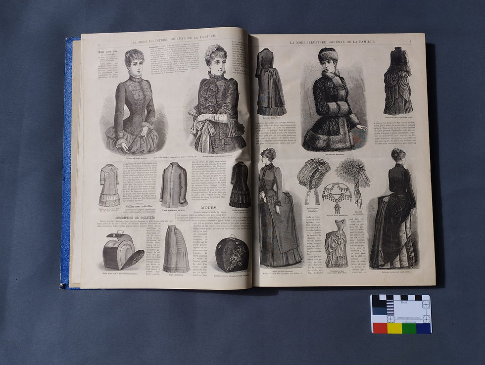 Thumbnail: La mode illustree 1884