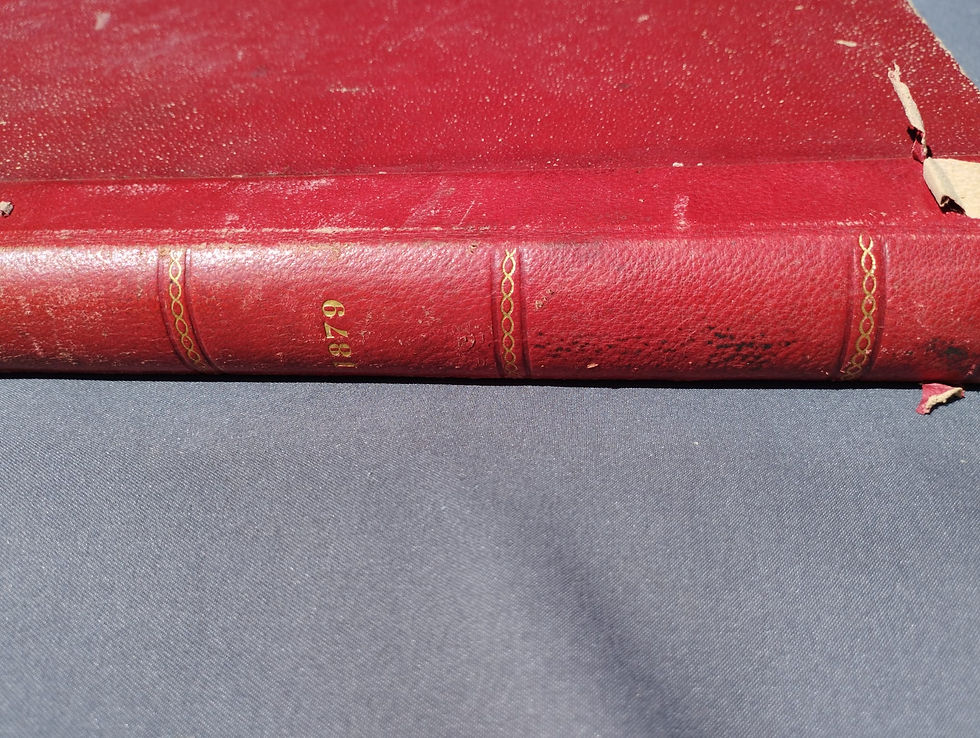 Thumbnail: La mode illustree 1879