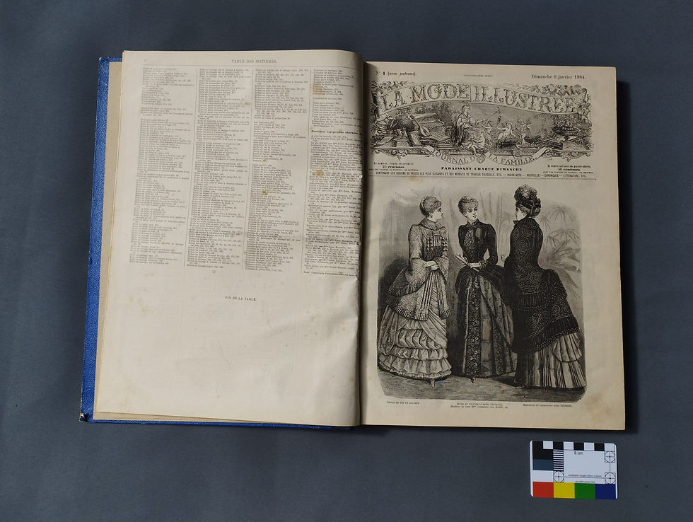 Thumbnail: La mode illustree 1884