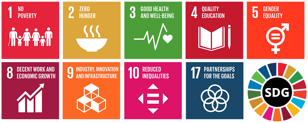 SDG Collage (1).png