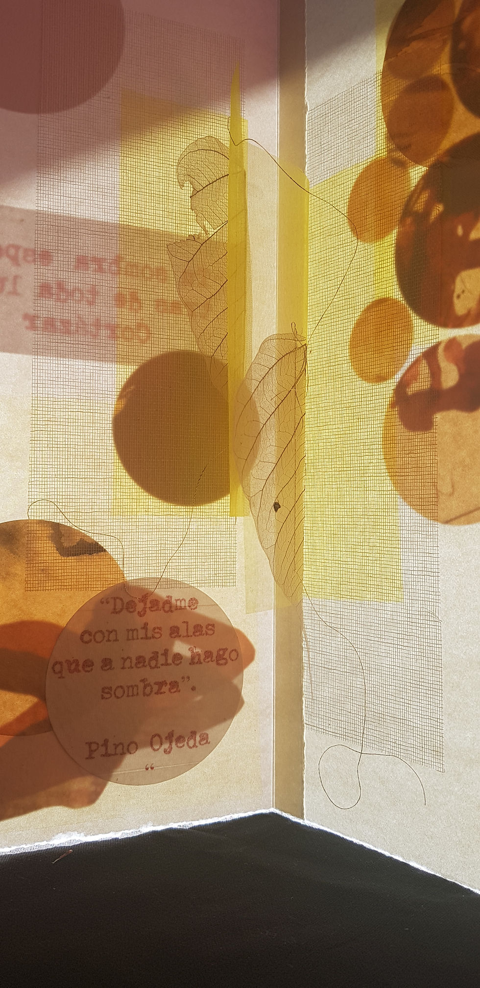 20190203_151729