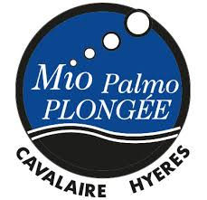 Mio palmo.jfif