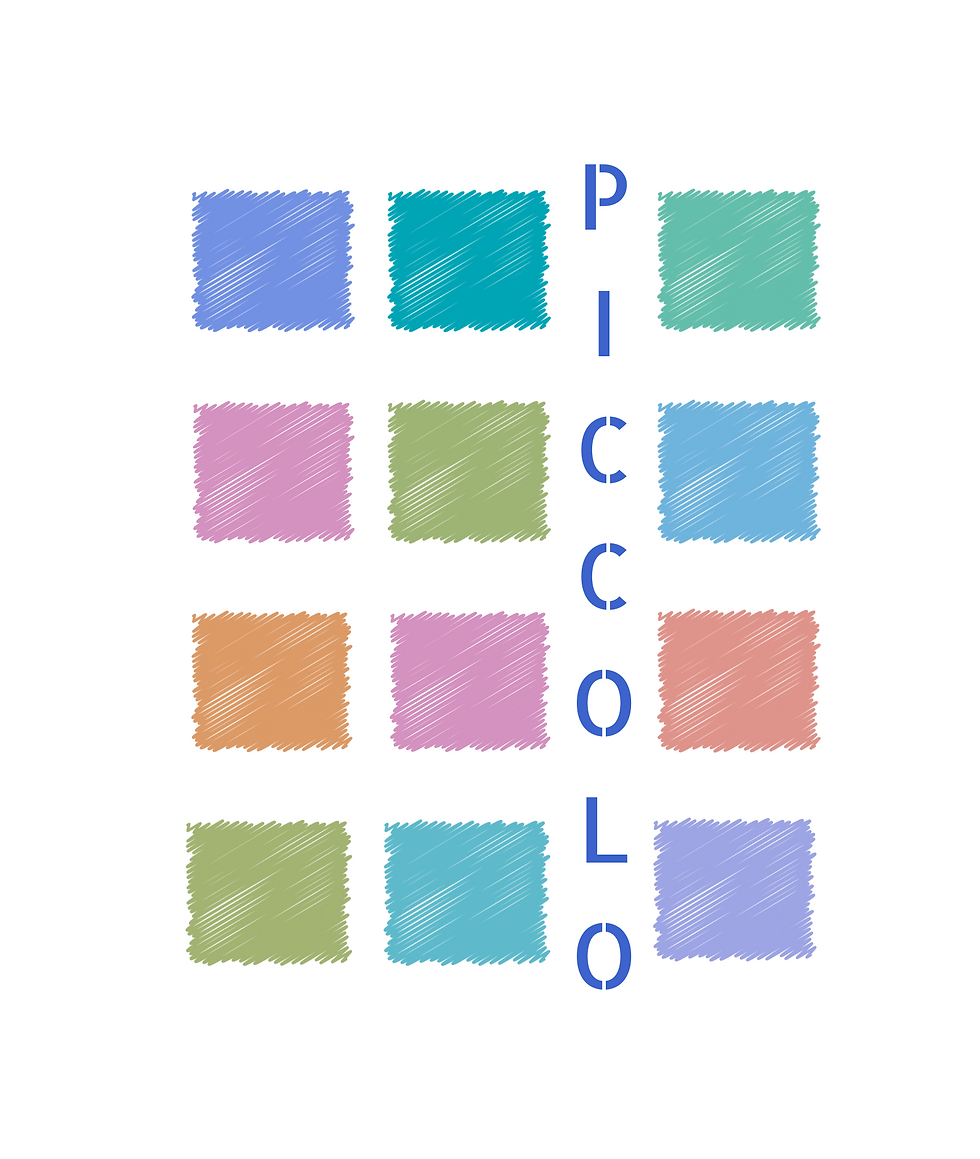 Piccolo: small surprises