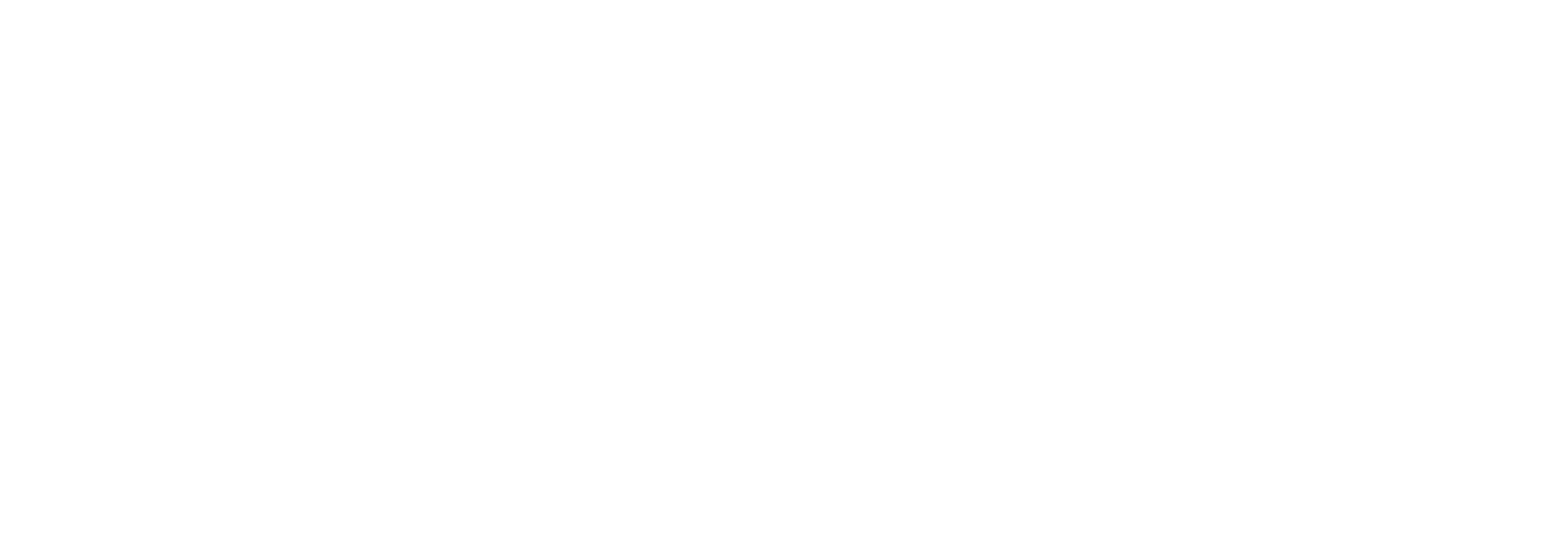 NNOVELISTS LOGO26 WHITE.png
