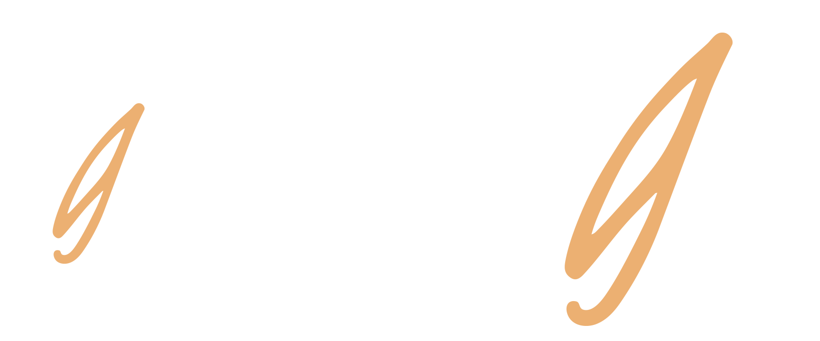 NY-Graphic elements.png