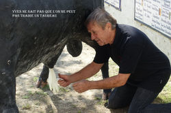 29833575012_d23404eac2_k