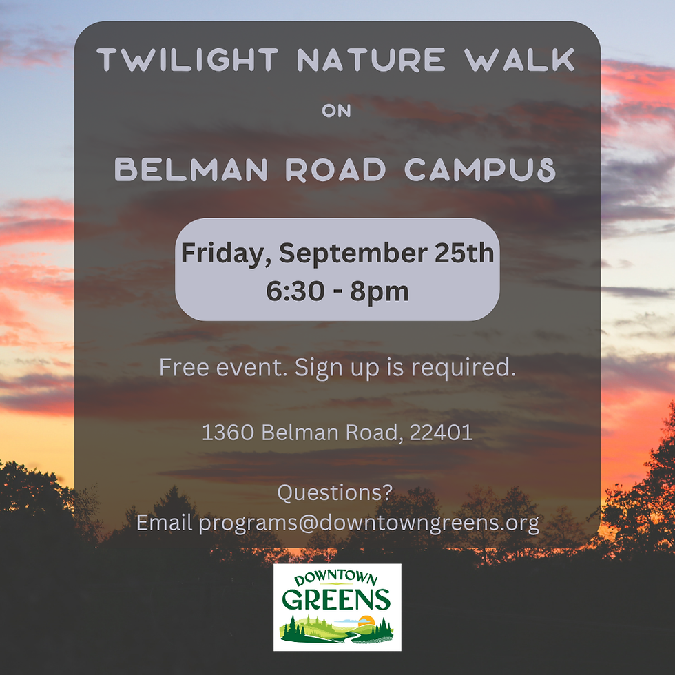 Twilight Nature Walk