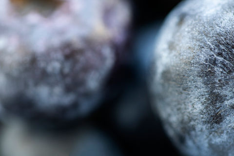 Looking at the World Through a Macro Lens