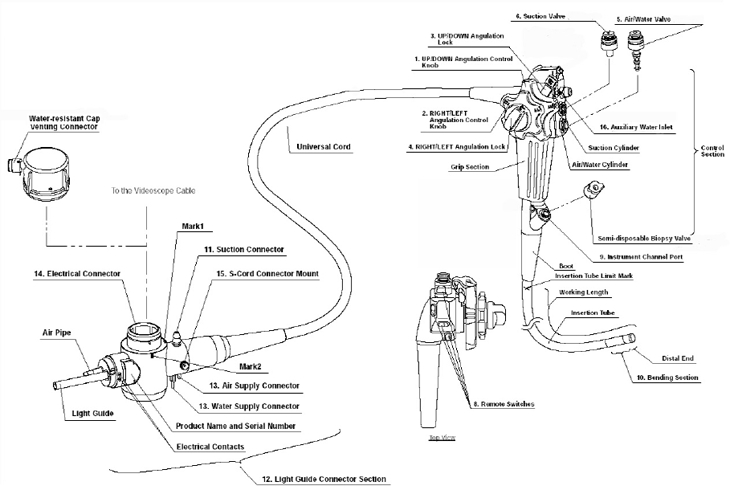 Endoscopy Repair service