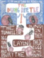 3 Types of Dung Beetles 2 / 2020
