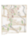 New Mexico Chiles: History, Legend and Lore by Kelly Urig