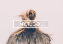 Skärmavbild 2019-10-28 kl. 15.09.45.png