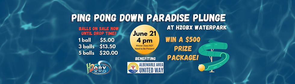 Ping-Pong-Plunge-banner-version-2026.png