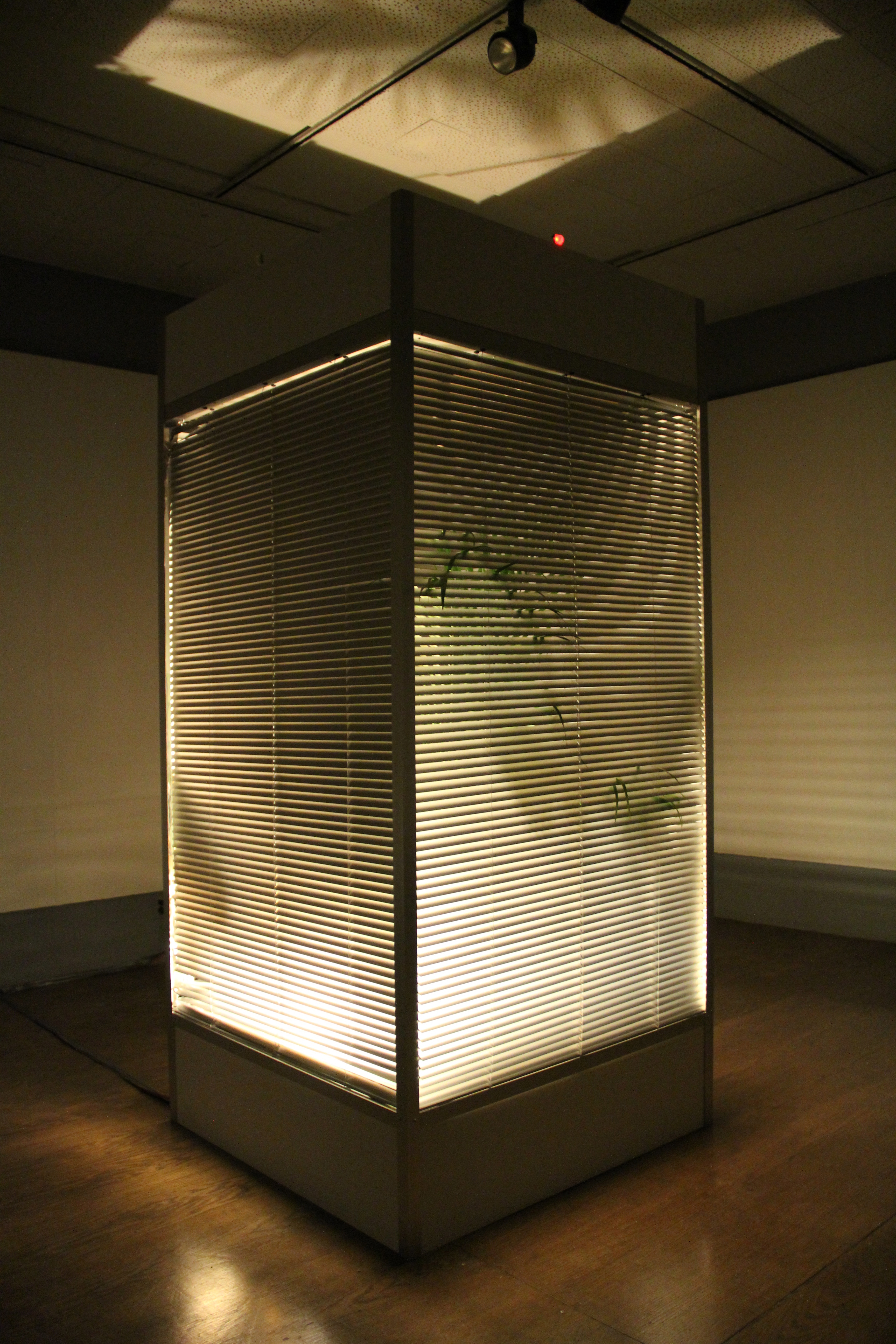 (black box)
