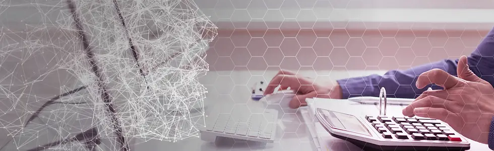 Taxy.io KI Stufenmodell