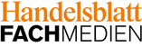 SmartGrundsteuer Handelsblatt