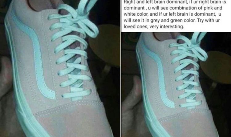 What color is the shoes? Some people see gray and green, some people see oink and white color! What color do you see?