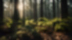 ferns-dark-forest-sunrise-3d-rendering.jpg
