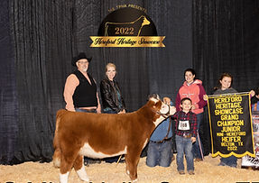 Haie gene_edited.jpg