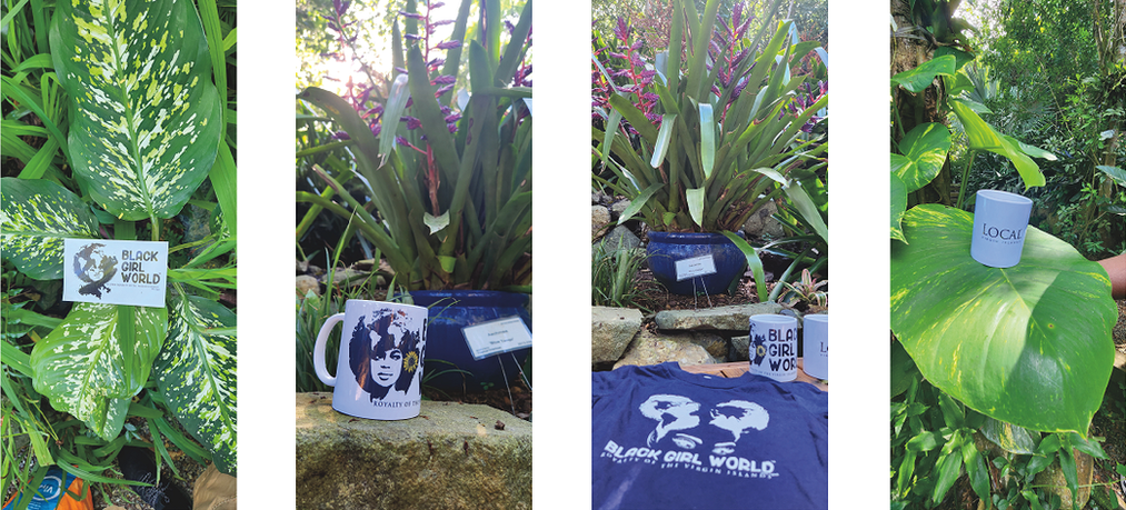 Black Girl World and Local St thomas Virgin islnds Designed by Lets talk ideas