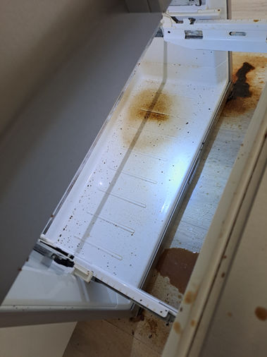 Dirty Freezer