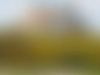 The "Modern" Hive Part II - The Chimney Effect