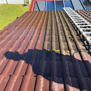 Démoussage toiture nettoyage basse pression Lille Hauts-de-France Belgique rénovation maison