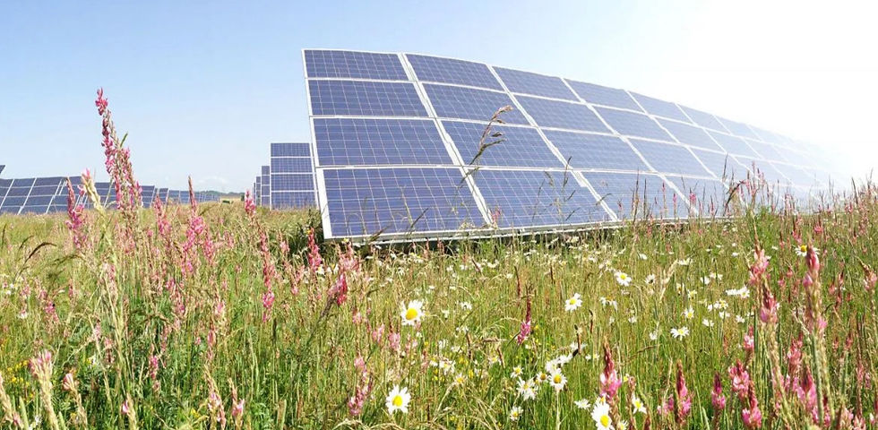 photovoltaïque et champs de fleurs