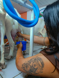 Rota do queijo Valença operadora soar (7)