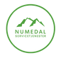 Numedal Servicetjenester Logo.png