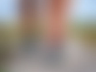 Tendinopathy: What Every Person Should Know About Tendon Pain