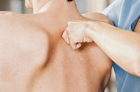 Testing Low Dorsal_edited_edited.jpg