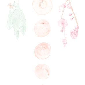 Colour Tests.jpg