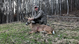 Deer Hunt 4.png