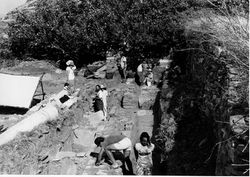 Συντήρηση του νότιου τοίχου της βασιλικής, 1993