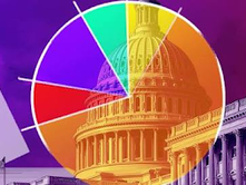 Political Representation