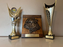 trophies.jpeg