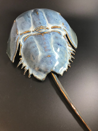 Horseshoe Crab
