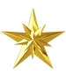 001 GRANDPARENT STAR.tif