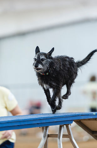 20121021-0894 (ZF-3264-31622-1-003) copy.jpg