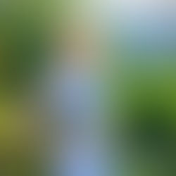 Marie-Édith Laval : "C'est par distraction que nous n'entrons pas au paradis de notre vivant"