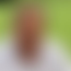 Alain Sicot : J'étais illettré et mutique, l'amour m'a transformé