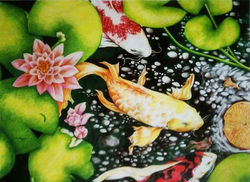 1185237_157802834420761_375387824_n